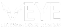 Veye Logo
